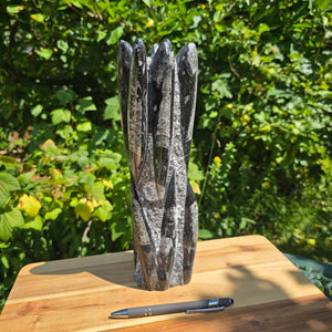 Geschliffene Freiform (Turm) mit Ammoniten und Orthoceras – 30x8x8cm - Nr. 50