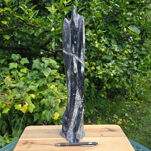 Geschliffene Freiform (Turm) mit Ammoniten und Orthoceras – 42x11x10cm - Nr. 52
