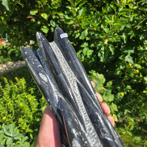 Geschliffene Freiform (Turm) mit Ammoniten und Orthoceras – 30x8x8cm - Nr. 50