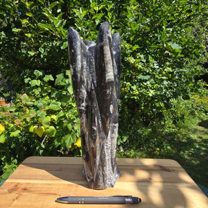 Geschliffene Freiform (Turm) mit Ammoniten und Orthoceras – 29x10x9cm - Nr. 59