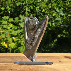 Dekorative handgefertigte Steinskulptur mit Ammoniten und Orthoceren (Fossilien) – 18x16x5cm - Nr. 86 auf Holzuntergrund