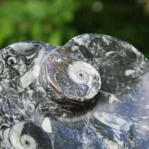 Herz Schale aus Orthoceras klein- 11x11cm - Fossilgestein - Nr. 3 mit detailreichen, versteinerten Mustern.
