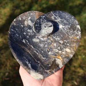 Herz Schale aus Orthoceras groß - 16,5x16,5cm - Fossilgestein - Nr. 2 - einzigartige fossilierte Strukturen