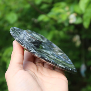 Herz Schale aus Orthoceras klein- 11x11cm - Fossilgestein - Nr. 3 in der Hand gehalten, zeigt einzigartige Muster.