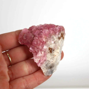 Hand holding natural Kobalt Calcit mineral 5x4x2 cm with pink crystals from Morocco, unique piece for collectors.