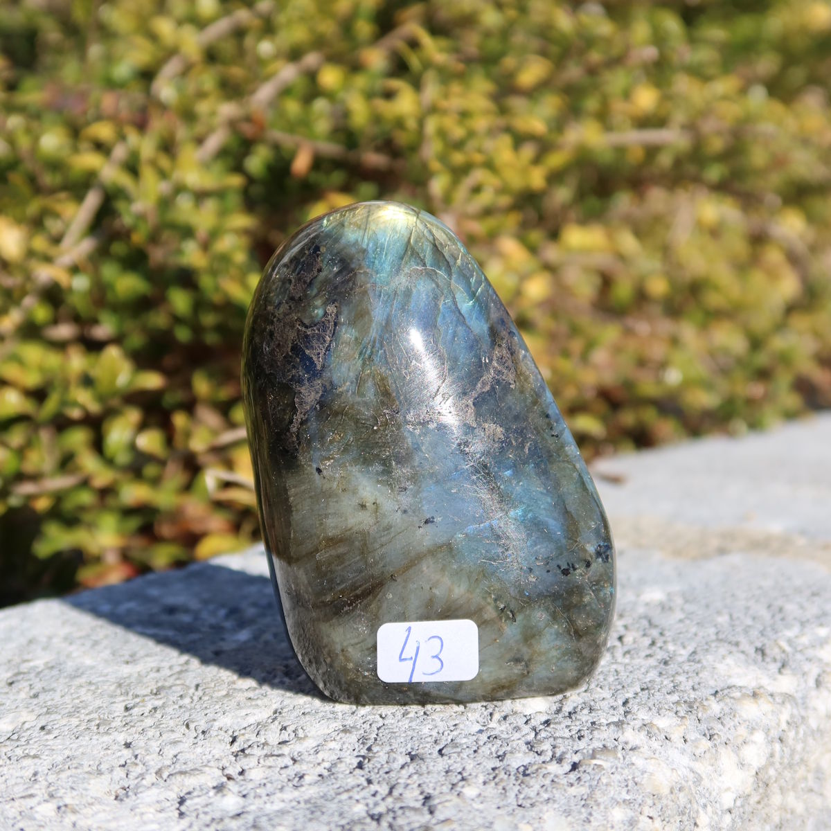 Polierte Labradorit Freiform - 7x5cm - Intuition und Kreativität Nr.43, mit schimmernden Blautönen im Sonnenlicht. Exklusives Naturkunstwerk.