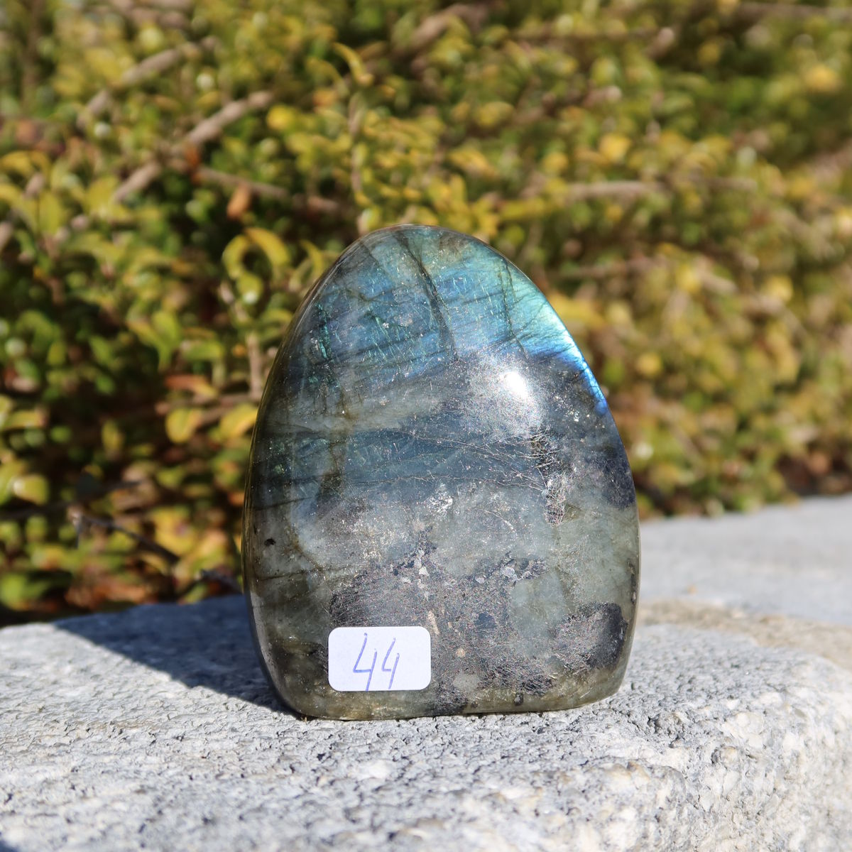 Labradorit Freiform poliert - 7x5cm - Intuition und Kreativität Nr.44; zeigt lebhafte Blau- und Grüntöne im Sonnenlicht.