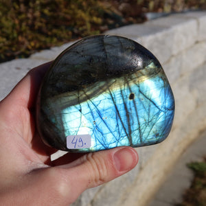 Hand holding Labradorit Freiform poliert - 7x8cm - Intuition und Kreativität Nr.49 with distinctive blue and green labradorescence.