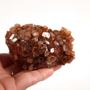 Hand holding a raw Aragonite crystal cluster from Morocco, featuring intricate star-shaped formations in natural brown hues.
