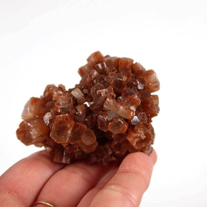 Hand holding raw Aragonite crystal cluster from Morocco, showcasing natural complex star-shaped formations.