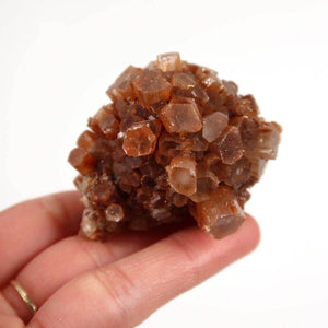Hand holding natural raw Aragonite crystal cluster, 5x5 cm, from Morocco, showcasing complex and stunning mineral forms.