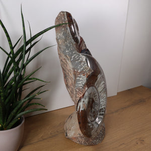 Skulptur aus Orthoceras & Ammoniten-Fossilien – 43x36cm 15kg - aus der Urzeit Nr.41 mit Pflanzen im Hintergrund