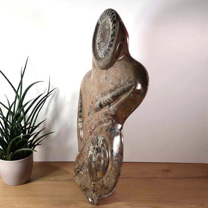 Skulptur aus Orthoceras & Ammoniten-Fossilien – 60x42cm 13kg - aus der Urzeit Nr.43 mit Pflanzen im Hintergrund