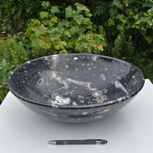 Orthoceras Fossilschale XL aus Marokko – 39x12 cm und 7 kg - Nr. 45
