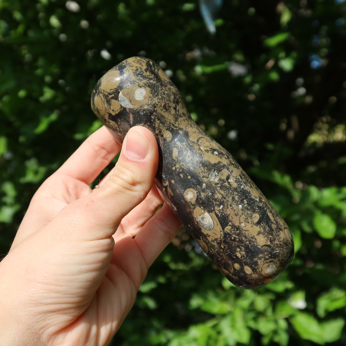 Orthoceras Mörser mit Stößel mittel- cm - Fossilgestein - Nr. 8 auf einem Holzbrett mit grünem Hintergrund.