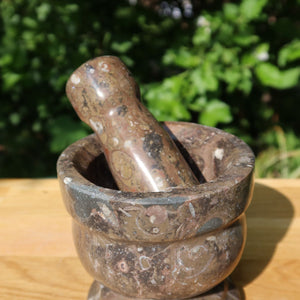 Orthoceras Mörser mit Stößel mittel- cm - Fossilgestein - Nr. 8 auf Holzoberfläche, mit sichtbaren Fossilienstrukturen.