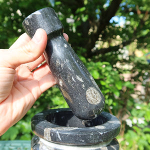 Orthoceras Mörser mit Stößel groß- cm - Fossilgestein - Nr. 9 in der Hand, einzigartiges Fossil-Material.