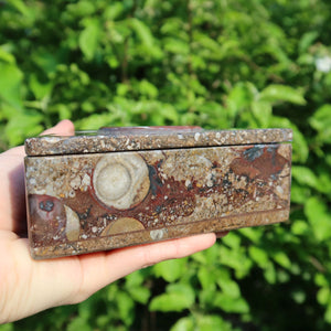 Orthoceras Schatulle Dreieck - cm - Fossilgestein - Nr. 15 in der Hand, dekorativ mit fossilen Mustern.