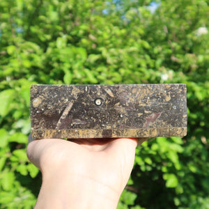Orthoceras Schatulle Rechteck - cm - Fossilgestein - Nr. 14, handgehalten mit natürlichen Mustern im Hintergrund.