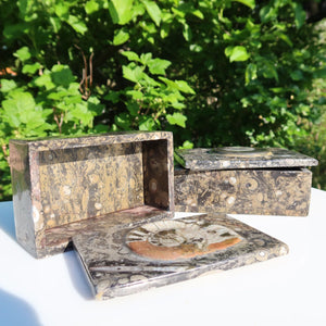 Orthoceras Schatulle Rechteck - cm - Fossilgestein - Nr. 14 - dekorative Fossilschalen im Freien.