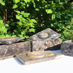 Orthoceras Schatulle Rechteck - cm - Fossilgestein - Nr. 14, elegante Schmuckschalen mit einzigartigen Fossilmustern.