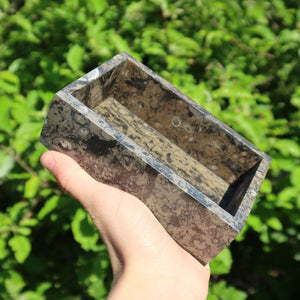 Orthoceras Schatulle Rechteck - cm - Fossilgestein - Nr. 14 in Hand, natürlicher Look, dekoratives Fossil.
