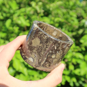 Orthoceras Schatulle rund klein - cm - Fossilgestein - Nr. 13 in der Hand, schimmernde fossile Muster.