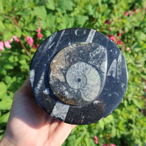 Orthoceras Schatulle rund groß - cm - Fossilgestein - Nr. 16 mit einzigartigem Fossilmuster auf dem Deckel.