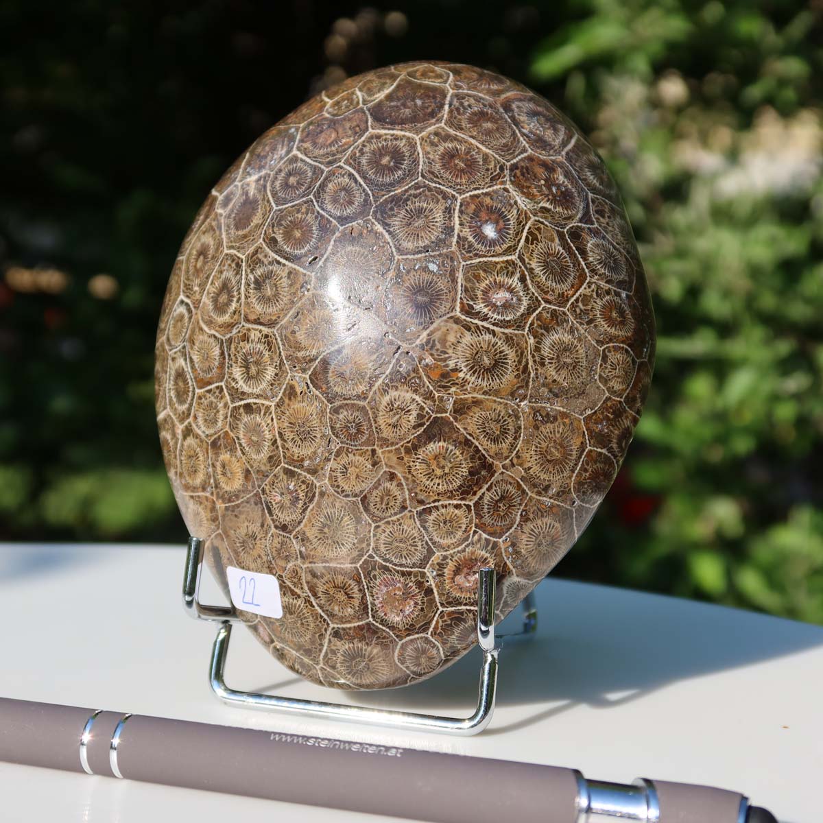 Polished Petoskey Stone with unique coral pattern, standing on a display stand, surrounded by greenery.