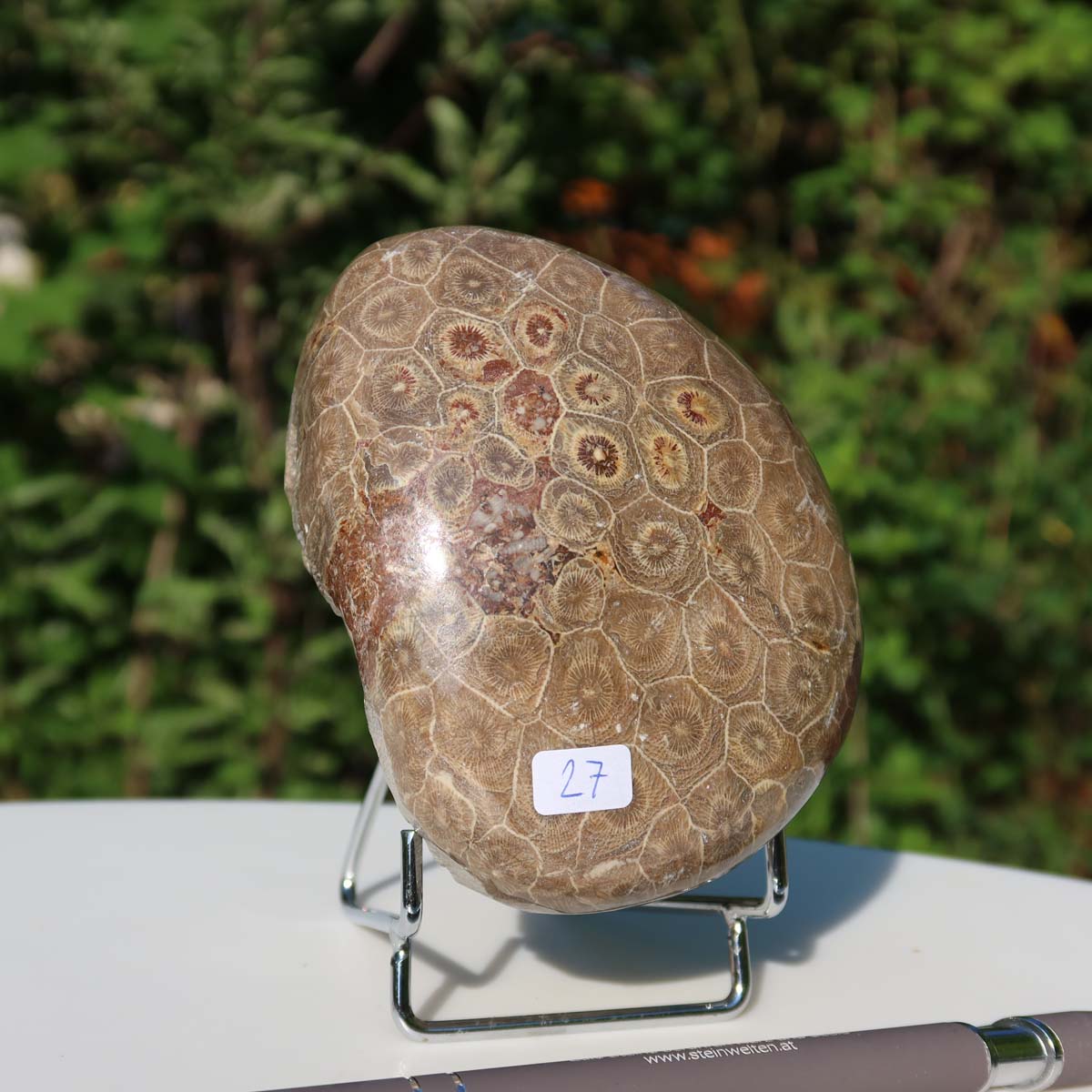 Polished Petoskey Stone fossil coral with unique pattern displayed outdoors, size 11x8x5 cm, Unikat Nr. 27