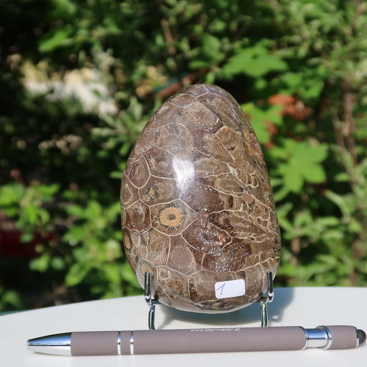 Polished Petoskey Stone with unique coral pattern on a stand, outdoor setting, part of online stone shop collection for purchase.