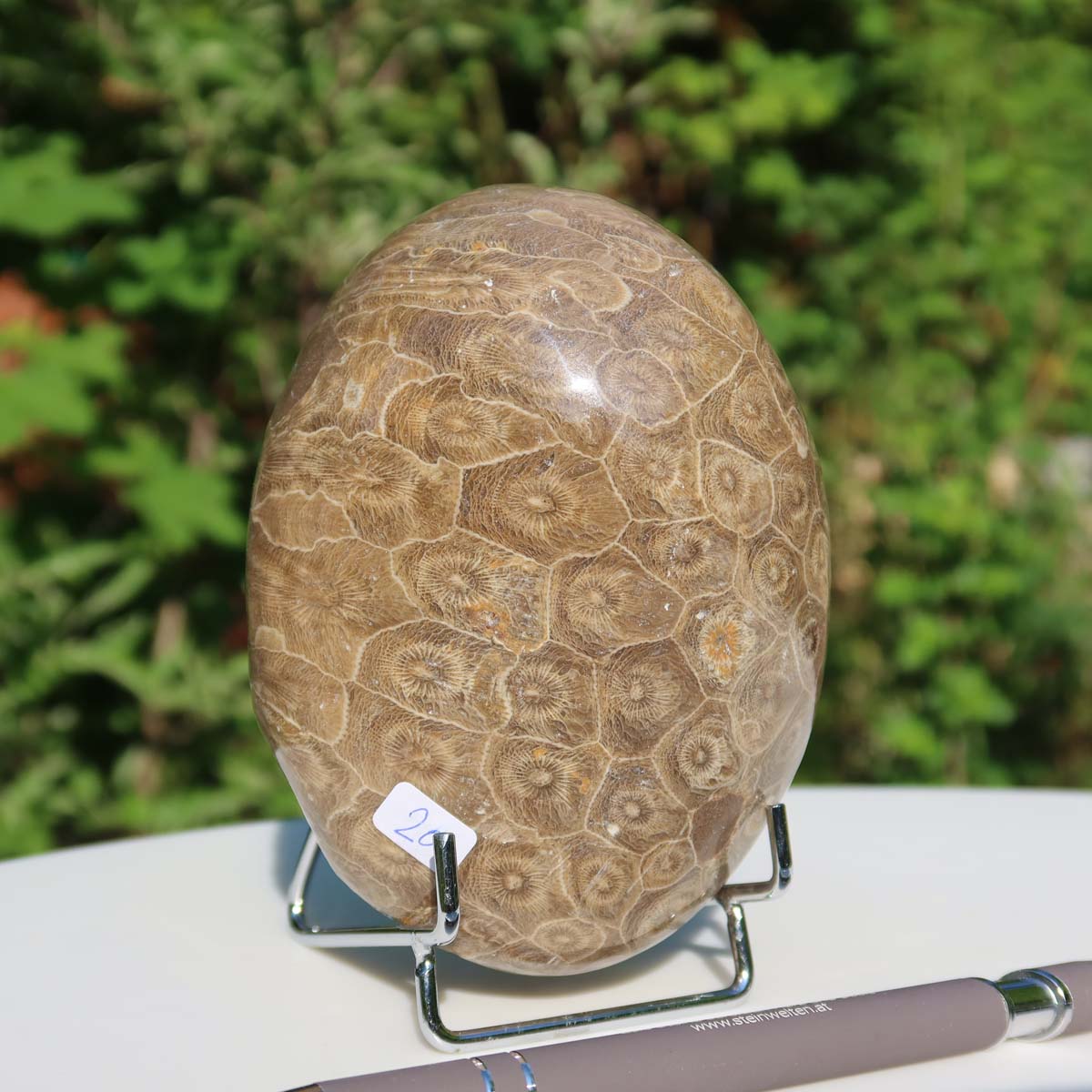 Polished Petoskey Stone, unique coral fossil from Morocco, displayed on a stand; dimensions 12x8x7 cm, UNIKAT Nr. 20.