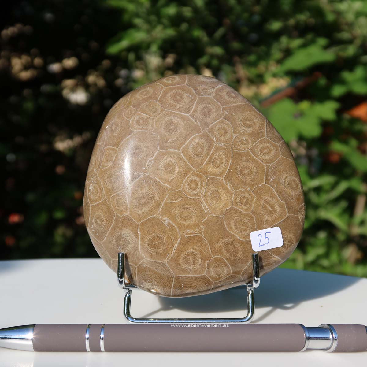 Unique Petoskey stone, partially polished fossil coral from Morocco, displayed on stand, size 10x9x3 cm, with natural patterns.