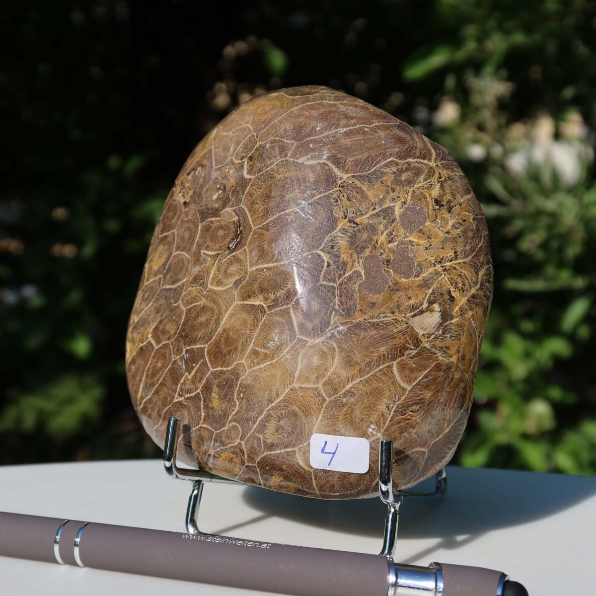 Petoskey Stone, also known as polished fossil coral, uniquely designed with natural patterns, size 10x10x3 cm, item number 4.