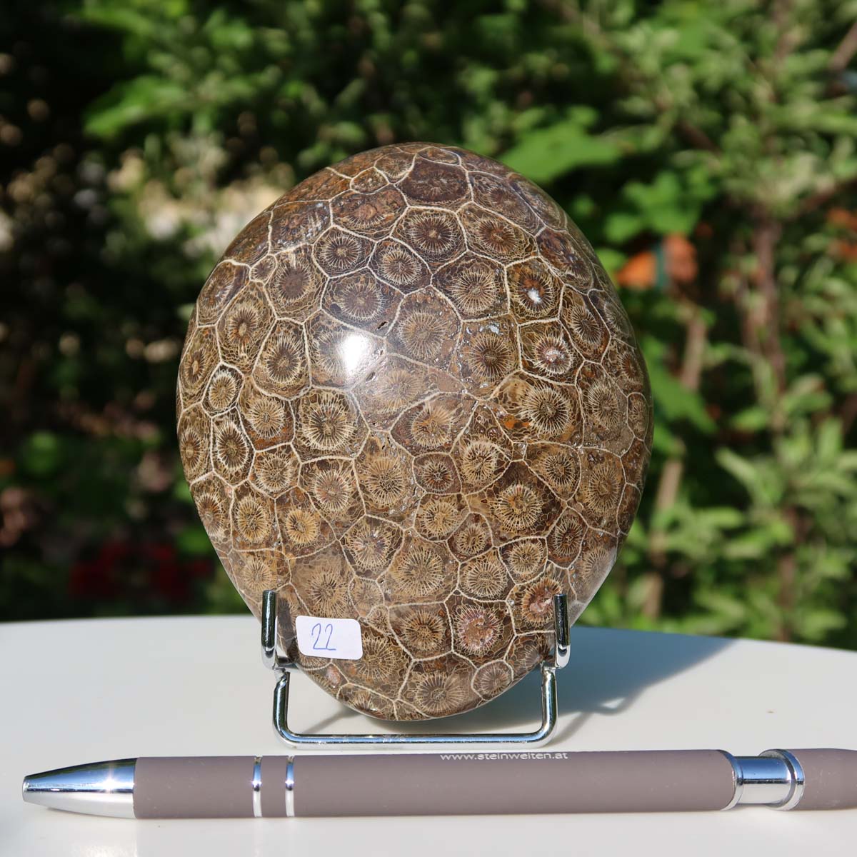 Polished Petoskey Stone with unique coral pattern, standing on a display stand, surrounded by greenery.
