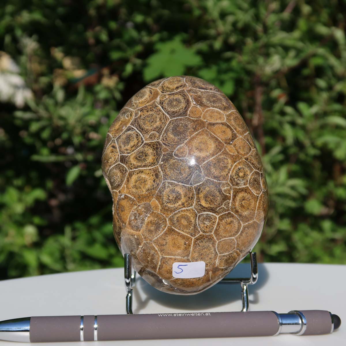 Petoskey Stone, polished fossil coral from Morocco, oval-shaped, size 10x7x5 cm, unique piece number 5, on a stand.