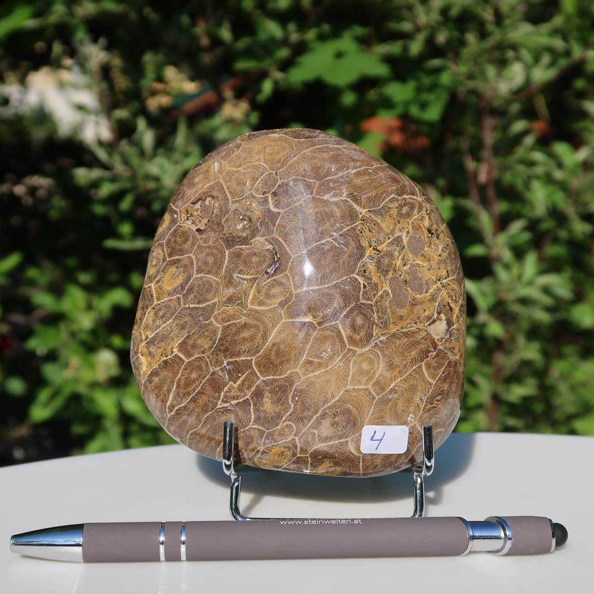 Petoskey Stone, also known as polished fossil coral, uniquely designed with natural patterns, size 10x10x3 cm, item number 4.