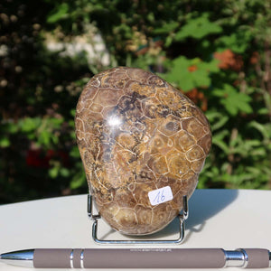 Petoskey Stone - Versteinerte Koralle, einseitig poliert, 10x7x3 cm, Unikat Nr. 16, auf einem Tisch mit Stift zur Größenangabe.