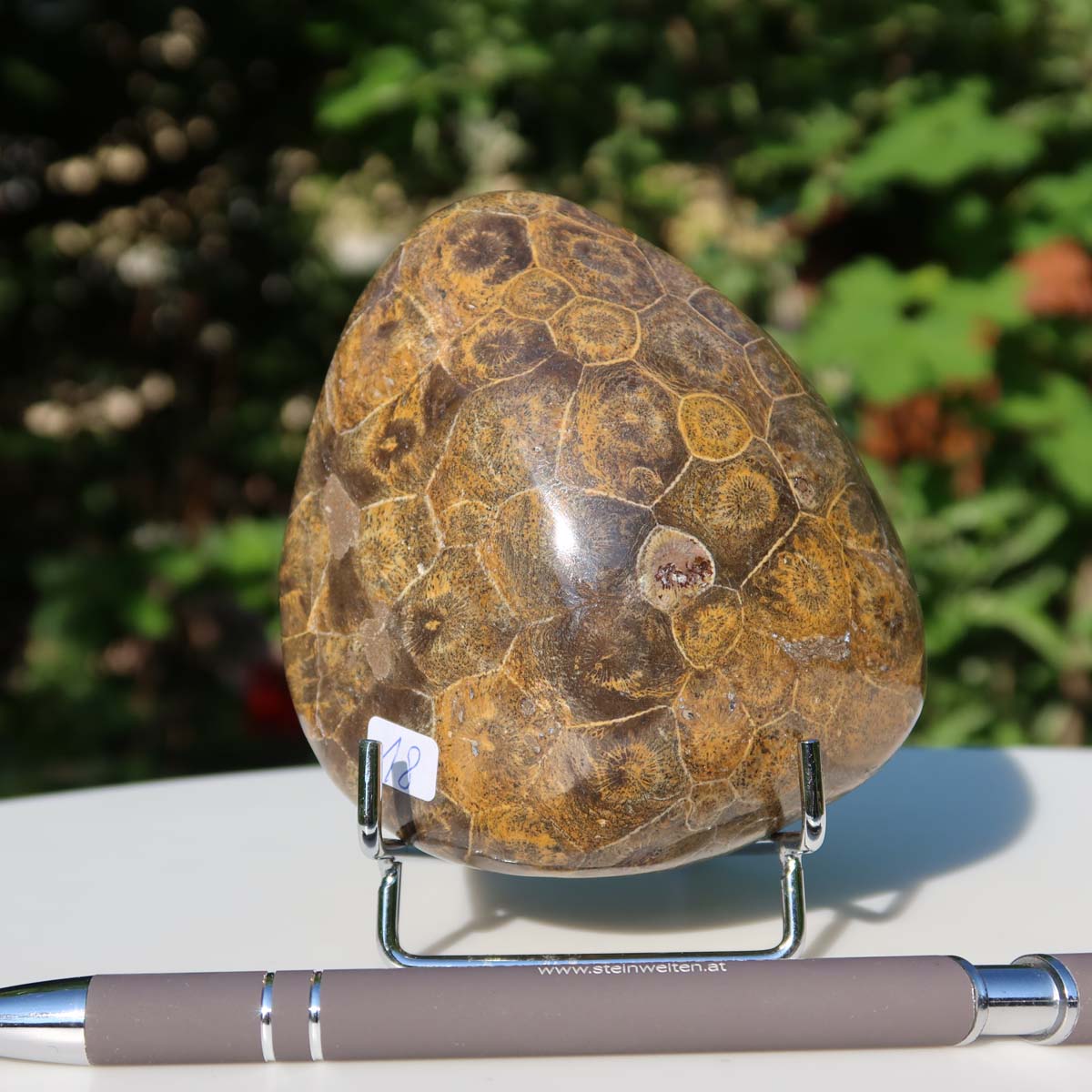 Petoskey Stone on stand, polished with natural coral patterns, dimensions 9x9x5 cm, unique piece with label and pen for scale.