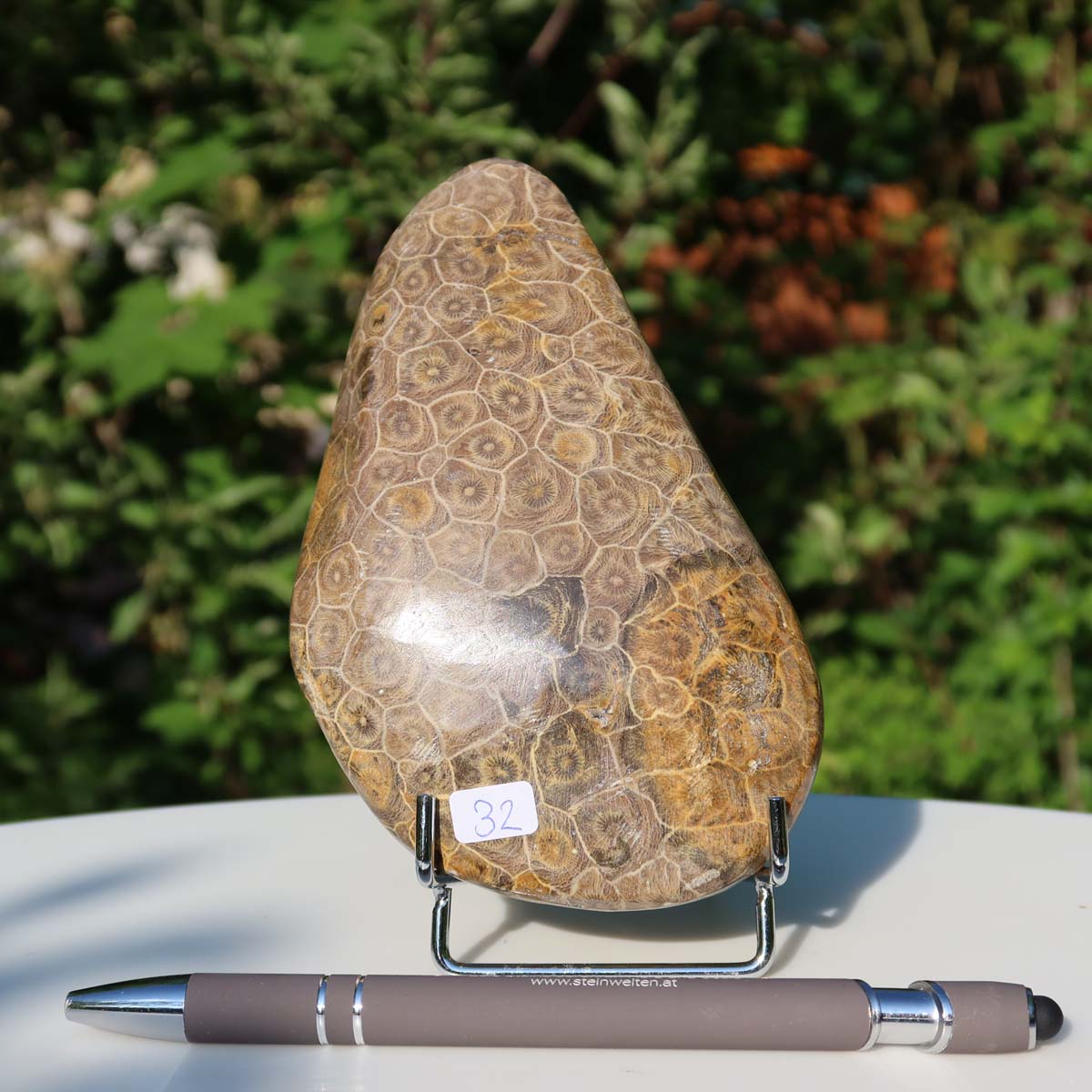 Petoskey Stone fossil coral, one-sided polished, unique piece No. 32, displayed with a pen for size comparison.
