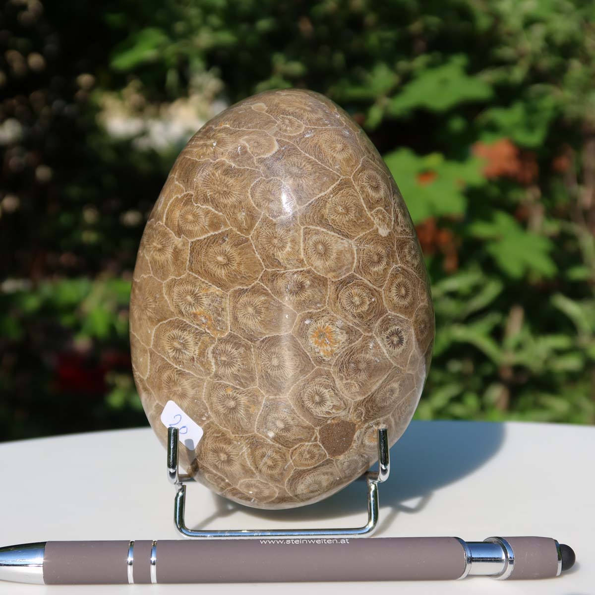 Polished Petoskey Stone, unique coral fossil from Morocco, displayed on a stand; dimensions 12x8x7 cm, UNIKAT Nr. 20.