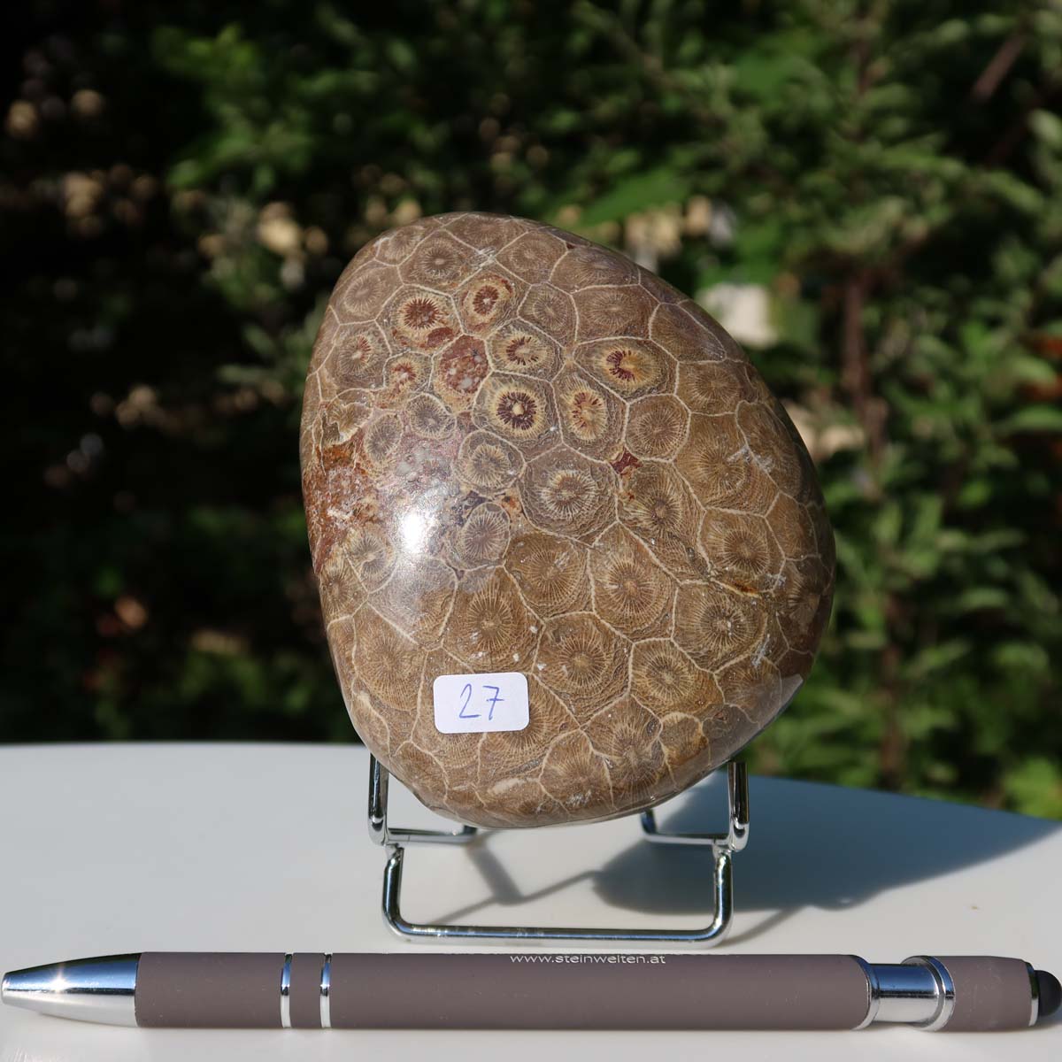 Polished Petoskey Stone fossil coral with unique pattern displayed outdoors, size 11x8x5 cm, Unikat Nr. 27