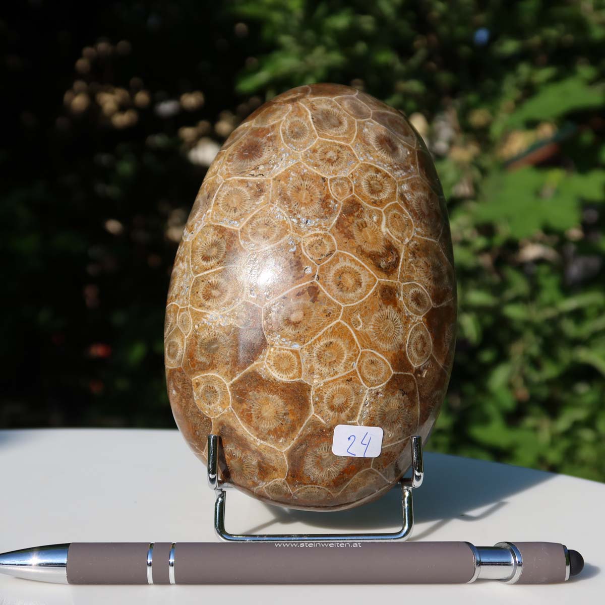 Polished Petoskey Stone with unique coral pattern, displayed on a stand, size 14x8x4 cm, Unikat Nr. 24, with a pen for scale.
