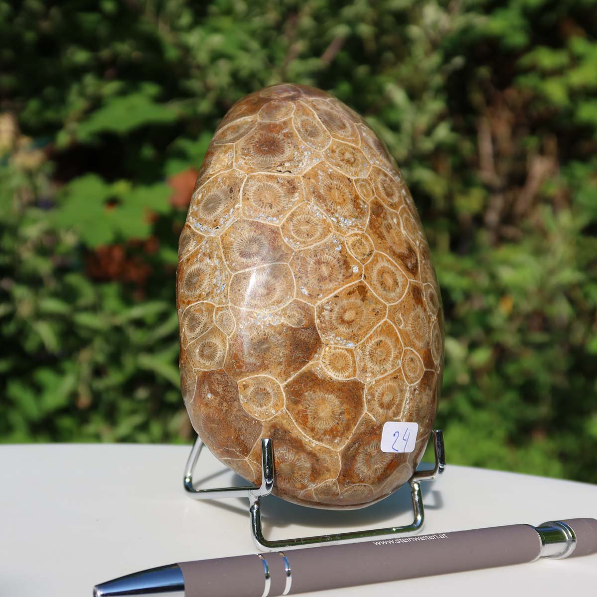 Polished Petoskey Stone with unique coral pattern, displayed on a stand, size 14x8x4 cm, Unikat Nr. 24, with a pen for scale.