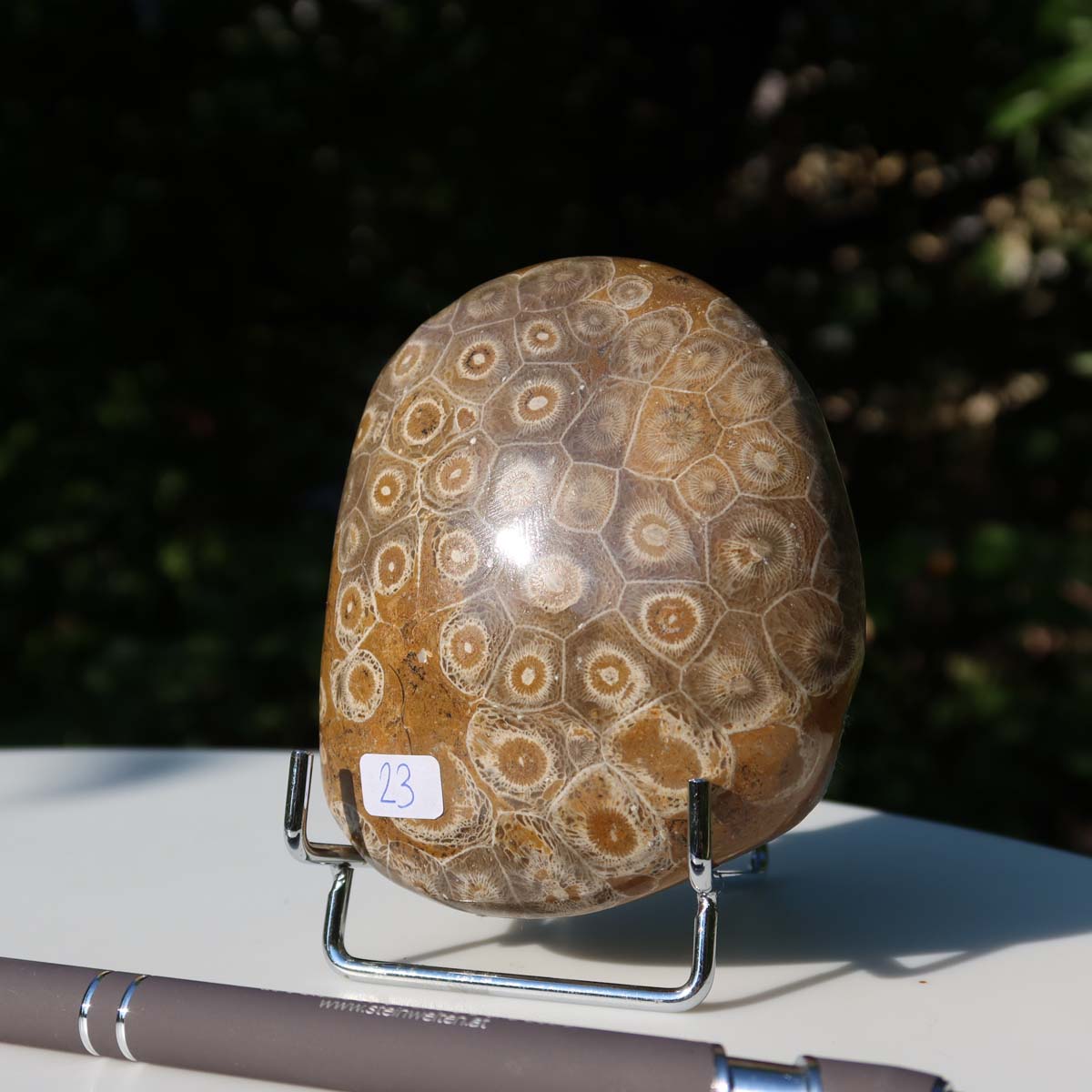Petoskey Stone Versteinerte Koralle, einseitig poliert, 9x8x4 cm, Unikat Nr. 23 auf Ständer vor grünem Hintergrund aufgenommen.