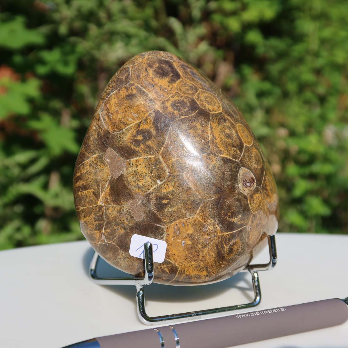 Petoskey Stone on stand, polished with natural coral patterns, dimensions 9x9x5 cm, unique piece with label and pen for scale.