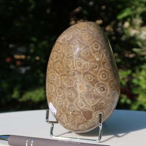 Unique polished Petoskey Stone with fossil coral pattern, 12x8x7 cm, displayed on a stand outdoors.