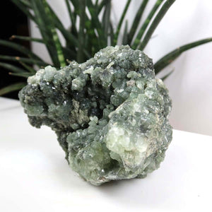 Prehnit 1A Kristall Stufe – aus Marokko 12x9cm - Exklusive Stücke für Sammler und Liebhaber Unikat Nr.26