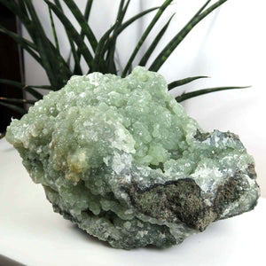 Prehnit 1A Kristall Stufe – aus Marokko 18x9cm - Exklusive Stücke für Sammler und Liebhaber Unikat Nr.38, grün, auf weißem Hintergrund