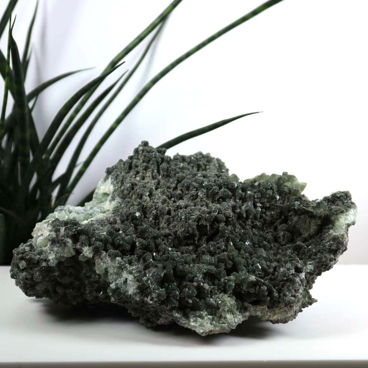 Prehnit 1A Kristall Stufe – aus Marokko 22x10cm - Exklusive Stücke für Sammler und Liebhaber Unikat Nr.36 auf weißem Hintergrund